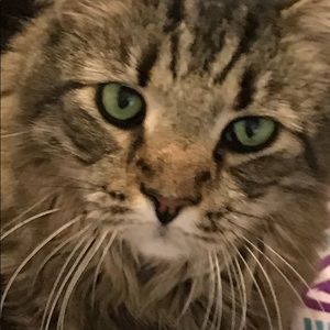 Meet your Posher, Gina